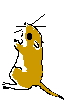 animation gerbil